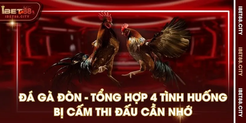 Đá gà đòn